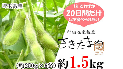 希少な埼玉県産枝豆「さきたまめ」数量・期間限定で販売　ＪＡタウン.jpg