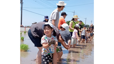 【現地レポート・茨城農業に迫る】