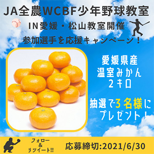 愛媛県産温室みかん２キロが当たるプレゼントキャンペーン実施中