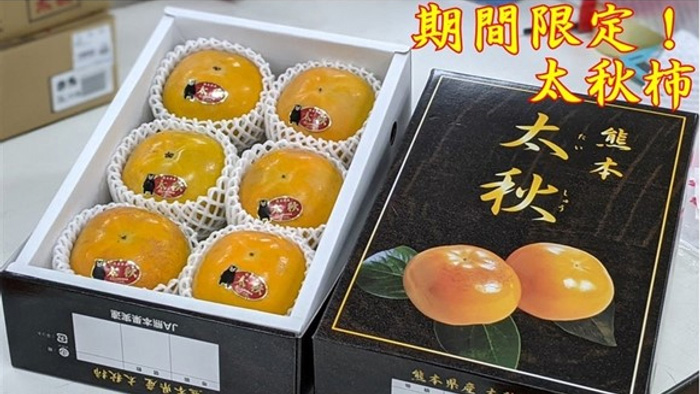 甘みとシャリッとした食感　熊本県産「太秋柿」数量限定で販売　ＪＡタウン