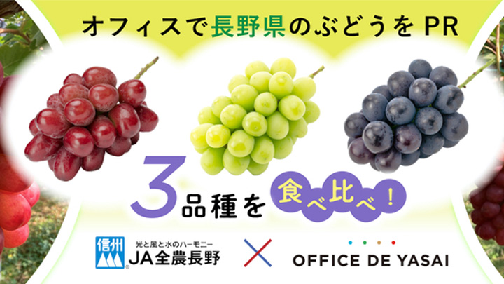 「オフィスで野菜」長野県産「ぶどう三姉妹」冷蔵サンプリング実施　ＪＡ全農長野