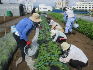 講座実習の様子