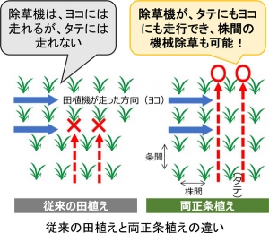 最終版●記者ブリーフィング資料（12月20日15時より10大ニュースの選定について）-4_2.jpg