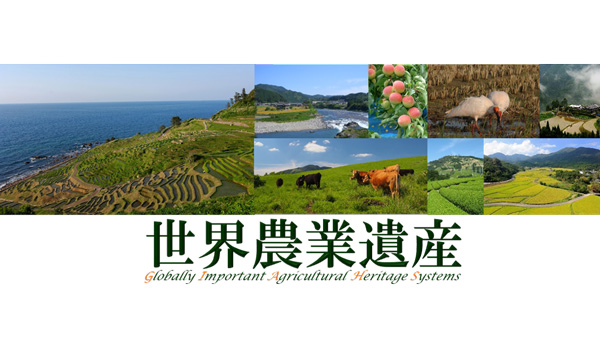 世界農業遺産に山梨の峡東地域、滋賀の琵琶湖地域