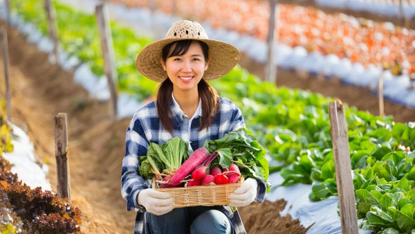 〇東京都日野市「援農・野菜栽培塾12期生」募集　援農ボランティアを養成.jpg