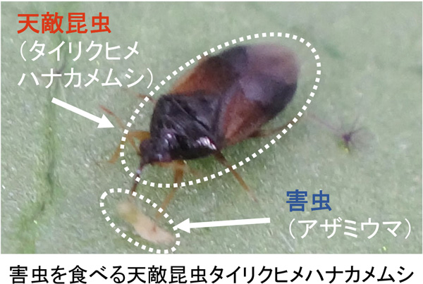 最終版●記者ブリーフィング資料（12月20日15時より10大ニュースの選定について）-8.jpg