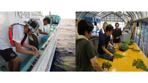東京の島で「島暮らし体験」漁業・農業就業体験者を募集中　東京都島しょ振興公社