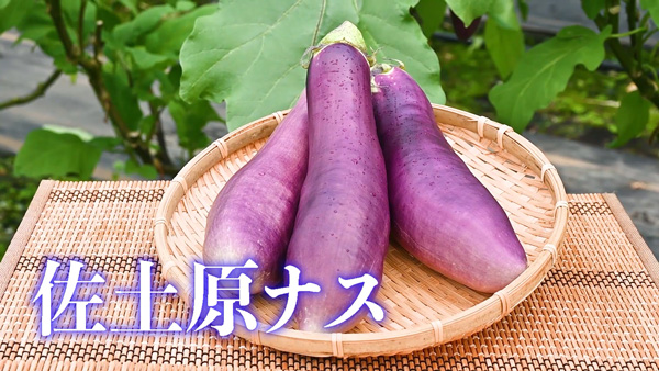 宮崎伝統野菜の「佐土原ナス」