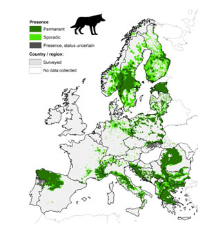 出典 欧州のオオカミ生息地