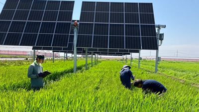 出光興産が東京農工大と次世代営農型太陽光発電の共同研究をスタート