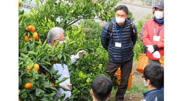 「徳島かんきつアカデミー」令和7年度受講生を募集　徳島県_01.jpg