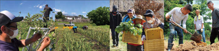 「ノウフク・アワード2024」募集開始　農福連携の優れた事例を表彰　農水省