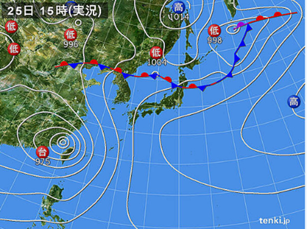 谷口先生の図1.jpg