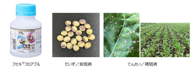 新規殺菌剤「フセキ®フロアブル」。だいず紫斑病（写真中央）、てんさい褐斑病（写真右）に効果