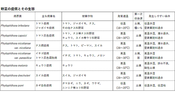 防除学習帖No.49　 野菜の病害防除３（１）