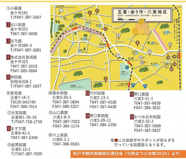 松戸市観光梨園MAP＜五香・金ケ作・六実地区＞