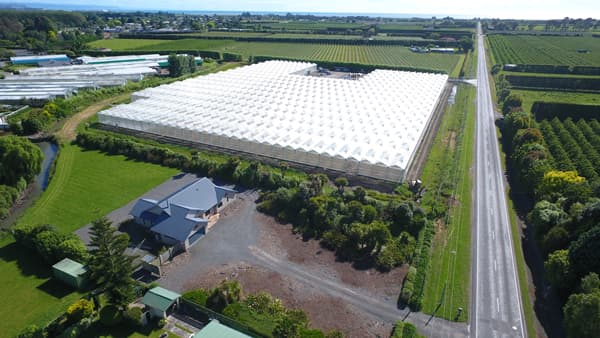 農業先進国オランダ式のガラスハウスを採用。JAS社が開発した高度環境制御システムを導入