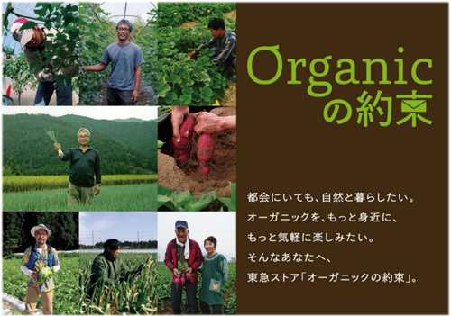 産地レポート番組「Organicの約束」第2弾「レタス編」配信　東急ストア