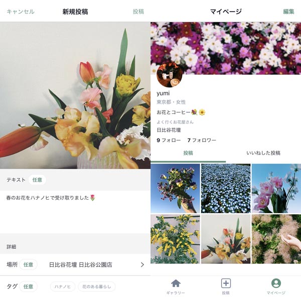 写真投稿でつながる新コミュニティアプリ「ハナノヒ Be」提供開始　日比谷花壇