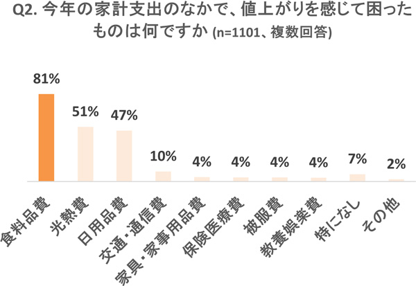 Q2：今年の家計支出で値上がり感じて困ったもの