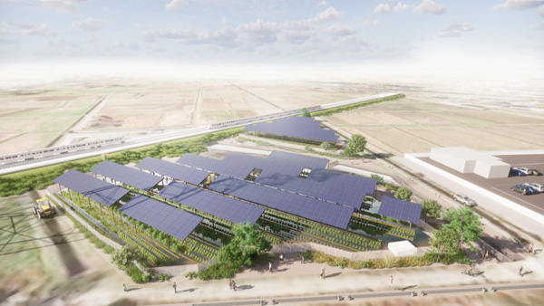 営農型太陽光発電施設「ソーラーシェア」事業拡大へ　12社が連携　東急不動産