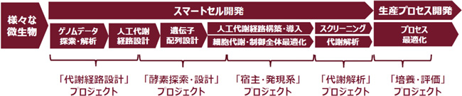 バッカス社統合型バイオファウンドリの概要