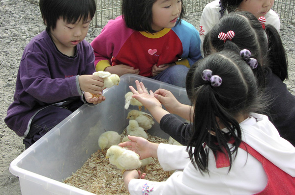 動物ふれあいコーナーで遊ぶ子どもたち