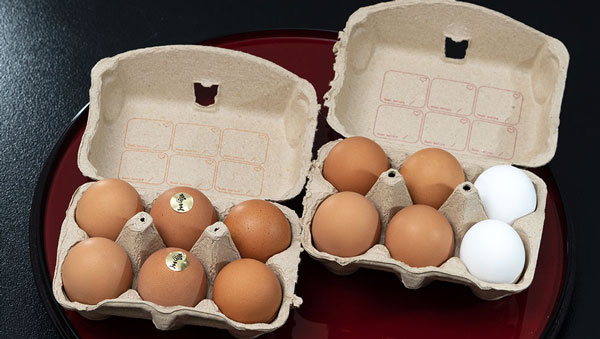 コラボ第二弾の「幻の卵屋さん厳選 全国のこだわり卵6種類」