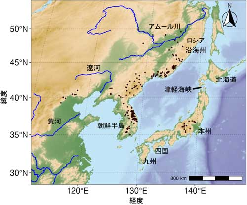 図1：チョウセンミネバリの現在の分布地点