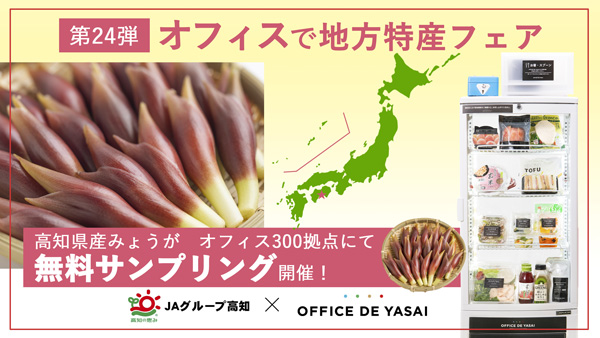 「オフィスで野菜」高知県産「みょうが」の特製ピクルスをサンプリング