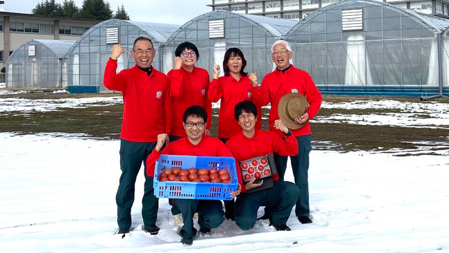 凝縮した旨味と甘み　長野県産フルーツトマト「さやまる」販売開始　日本郵便