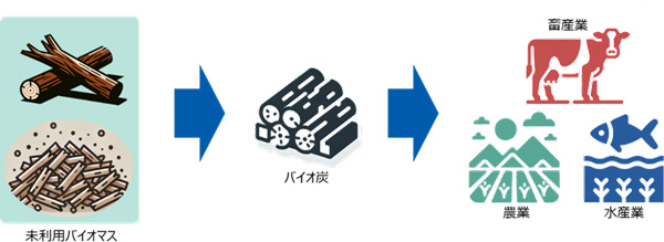 未利用バイオマスの活用イメージ図