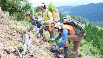 ENEOSと「生物多様性に配慮した森づくり」共同実証を開始　GREEN FORESTERS