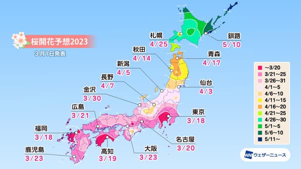 桜開花予想　トップは東京・福岡で18日　高温傾向で平年より早まる　ウェザーニューズ