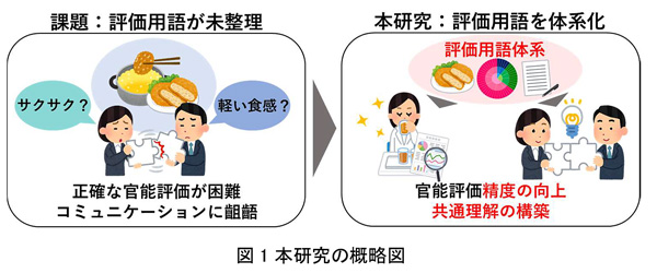 日清オイリオと農研機構の共同研究　フライ食品のおいしさを表現する用語を体系化-3.jpg