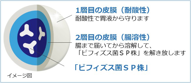 3層カプセルが生きて腸まで届ける「恵 megumiビフィズス菌SP株ヨーグルト」リニューアル発売