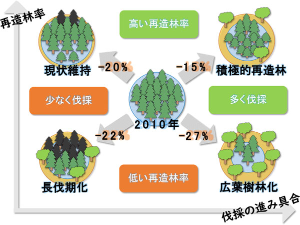 図1. 伐採と再造林の進み具合によるスギ人工林の年間炭素吸収量の違い