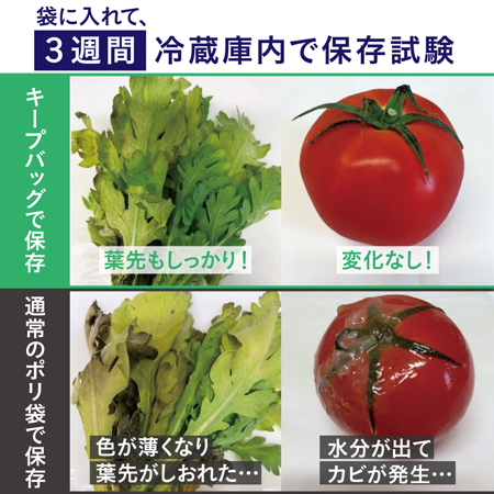 冷蔵庫内の野菜・果物の鮮度保持袋「キープバッグ」新発売　アルファックス