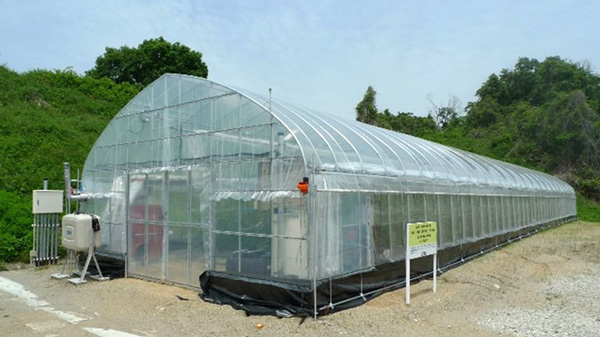 なら近大農法を研究する近畿大学農学部の「ものづくり村　ICT設置温室」