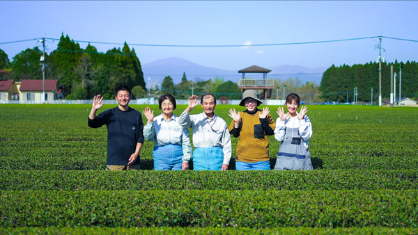 令和6年鹿児島県茶品評会で「九州農政局長賞」「県茶生産協会長賞」受賞　今村茶園