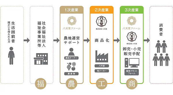 「農福コンソーシアムひろしま」第一弾「朝採れ-大乗いちじく」販売開始　八天堂ファームブランド_03.jpg