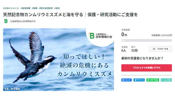 天然記念物の海鳥「カンムリウミスズメ」と海を守る　CF初挑戦　日本野鳥の会