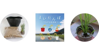 日本の米文化・米消費の意識醸成へ　稲栽培キット「まいたんぼ」販売　パナソニック