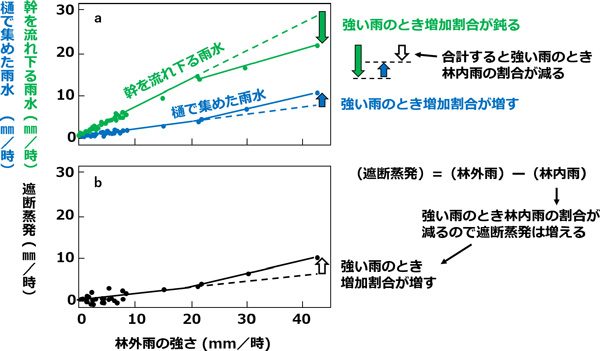 図2（a）林外雨と幹を流れ下る雨水、樋で集めた雨水との関係。（b）林外雨と遮断蒸発の関係