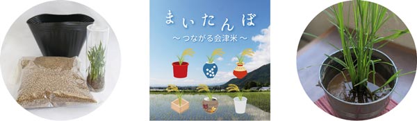 日本の米文化・米消費の意識醸成へ　稲栽培キット「まいたんぼ」販売　パナソニック