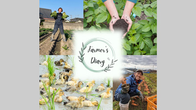 関西における農業の魅力発信プラットフォーム「Farmer's Diary」開始