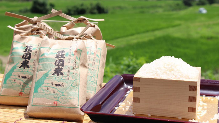 減農薬栽培で自然の恵みをたっぷり受けて育った「荘園米」