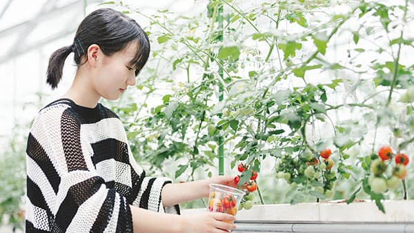 夏野菜収穫やピザ作り体験　滋賀の観光農園で夏季営業開始　ヤンマーシンビオシス