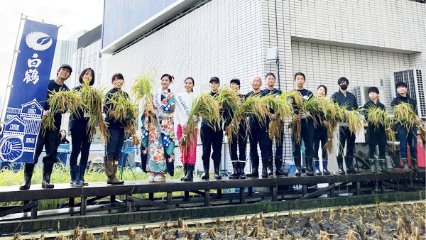 都心の屋上農園「白鶴銀座天空農園」2024年産酒米も無事収穫　白鶴酒造_01.jpg