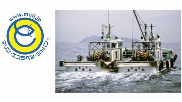 MEL漁業認証を取得した「シラス船曳網漁業」